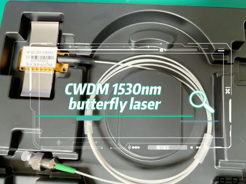 CWDM 1530nm Butterfly Laser
